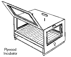 Plywood Incubator 