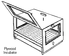 Plywood incubator