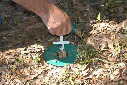 This in-ground termite bait station is being checked for termite activity.