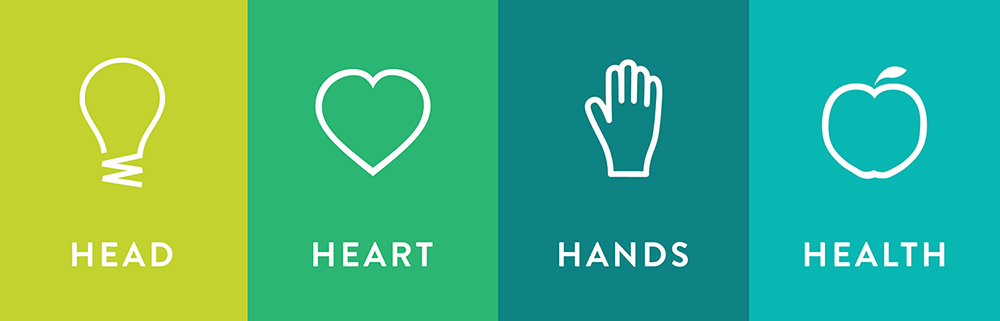 The grouped 4-H icons - head, heart, hands, health