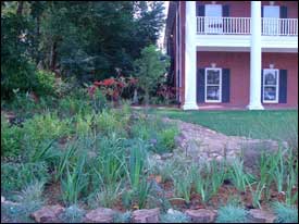 Rain Gardens - Franklin Soil and Water Conservation District