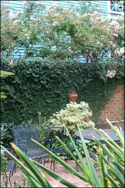 This is an image of a courtyard landscape.