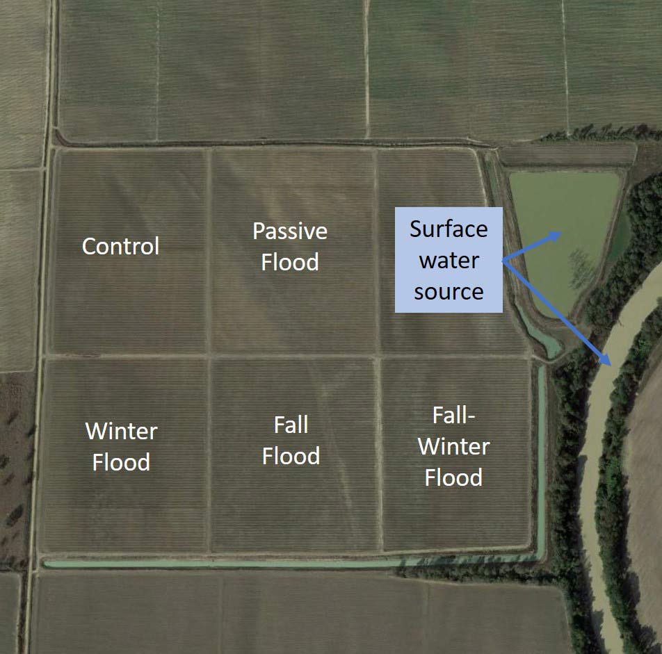 An aerial photo shows five evenly divided parcels of land marked, from top-left: Control, top-middle: Passive Flood, bottom left: Winter Flood, bottom middle: Fall Flood, and bottom right: Fall-Winter Flood. A surface water source is identified on the right of the parcel.
