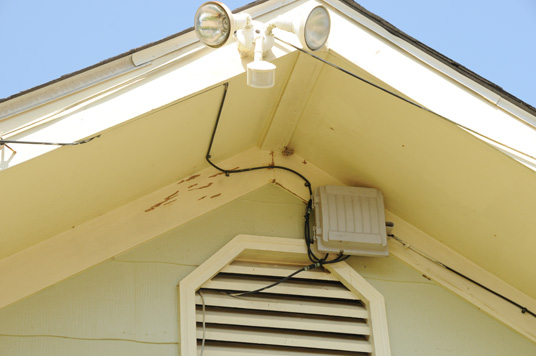 Signs Of Termite Infestation Mississippi State University