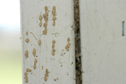 signs of termite damage in drywall