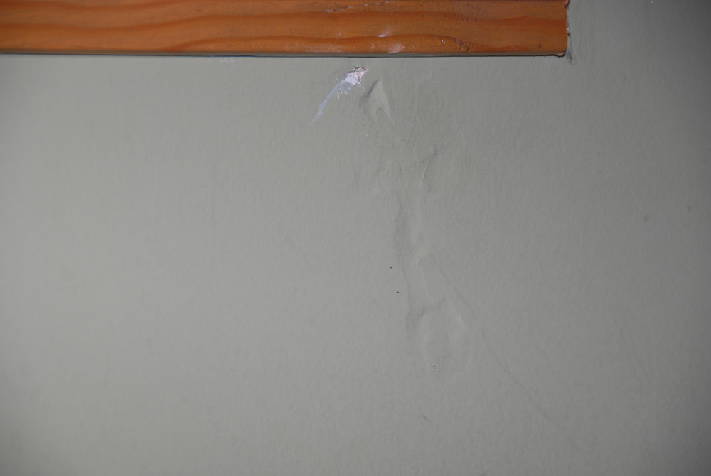 Sunken areas or trails underneath the paint of sheetrock walls may be due to termites feeding on the cardboard covering of the sheetrock.