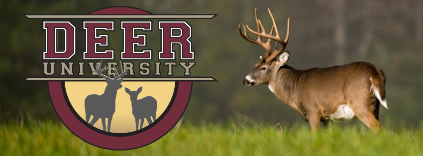 Deer University Header