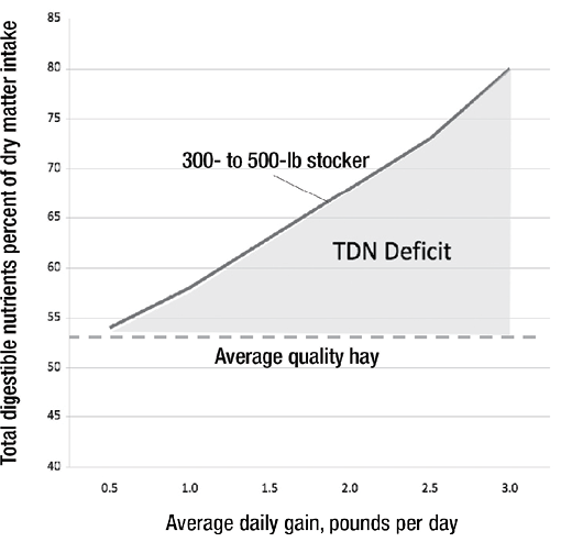 Line graph showing total digestible nutrients vs. average daily gain for a 300–500 lb stocker, highlighting a "TDN Deficit" when using average quality hay above 1.25 lb./day of gain.