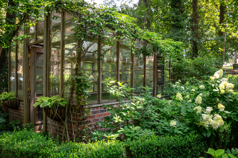 Vines growing on a structure framed on a brick base with hydrangeas blooming beside it.