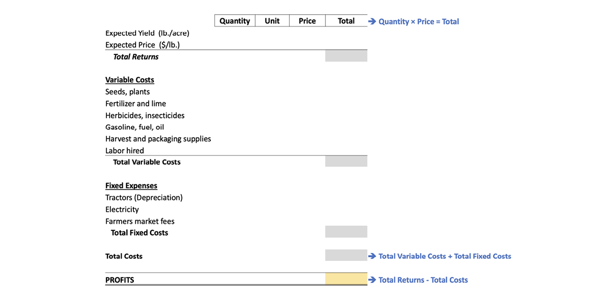 Example crop budget form with main categories of total returns, total variable costs, total fixed costs, total costs, and profits.