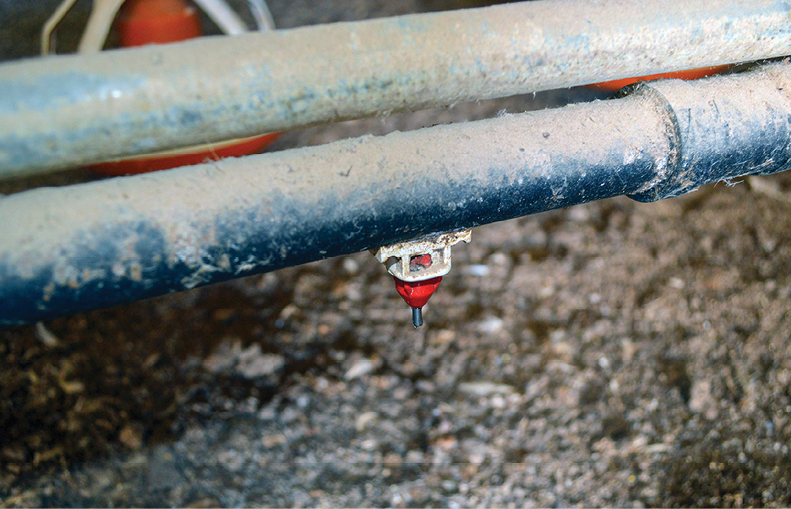 Two silver pipes with a red sprinkler attached facing downward.