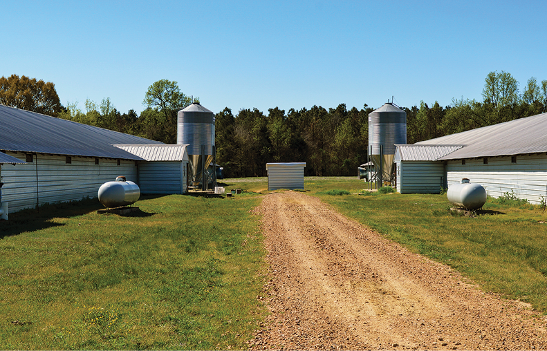 Water_Well_between_Poultry_Houses
