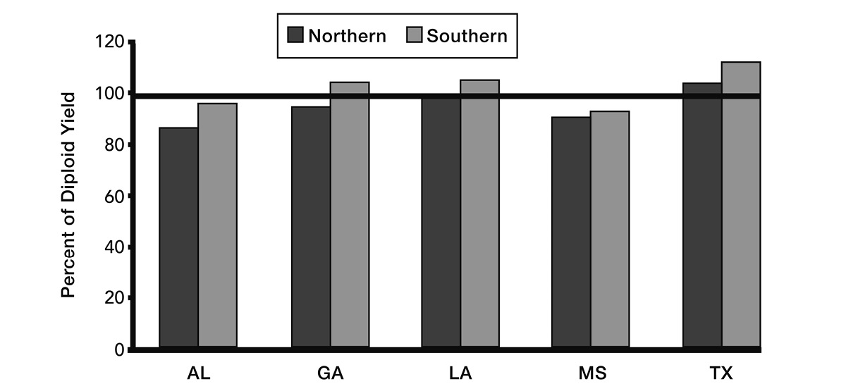 Percent total season forage yield of tetraploid cultivars compared to diploid cultivars within two regions (northern and southern) at five test sites in SE U.S.: Northern Alabama at about 90%; Southern Alabama at about 100%; Northern Georgia at about 100%; Southern Georgia at about 110%; Northern Louisiana at just over 100%; Southern Louisiana at about 110%; Northern Mississippi at about 90%; Southern Mississippi at about 95%; Northern Texas at about 110%; Southern Texas at almost 120%