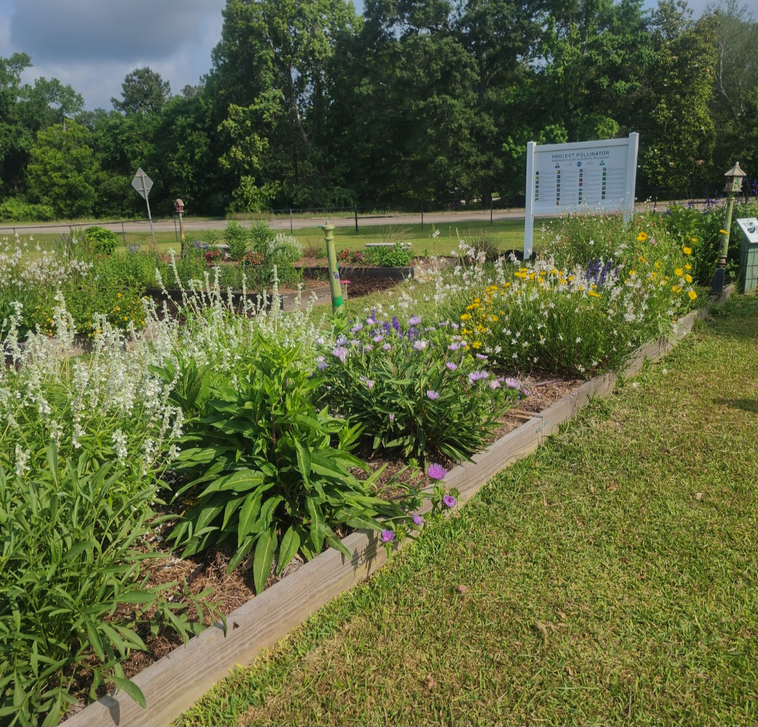 Colorful blooming plants grow in a flower bed with a Project Pollinator sign in the background.