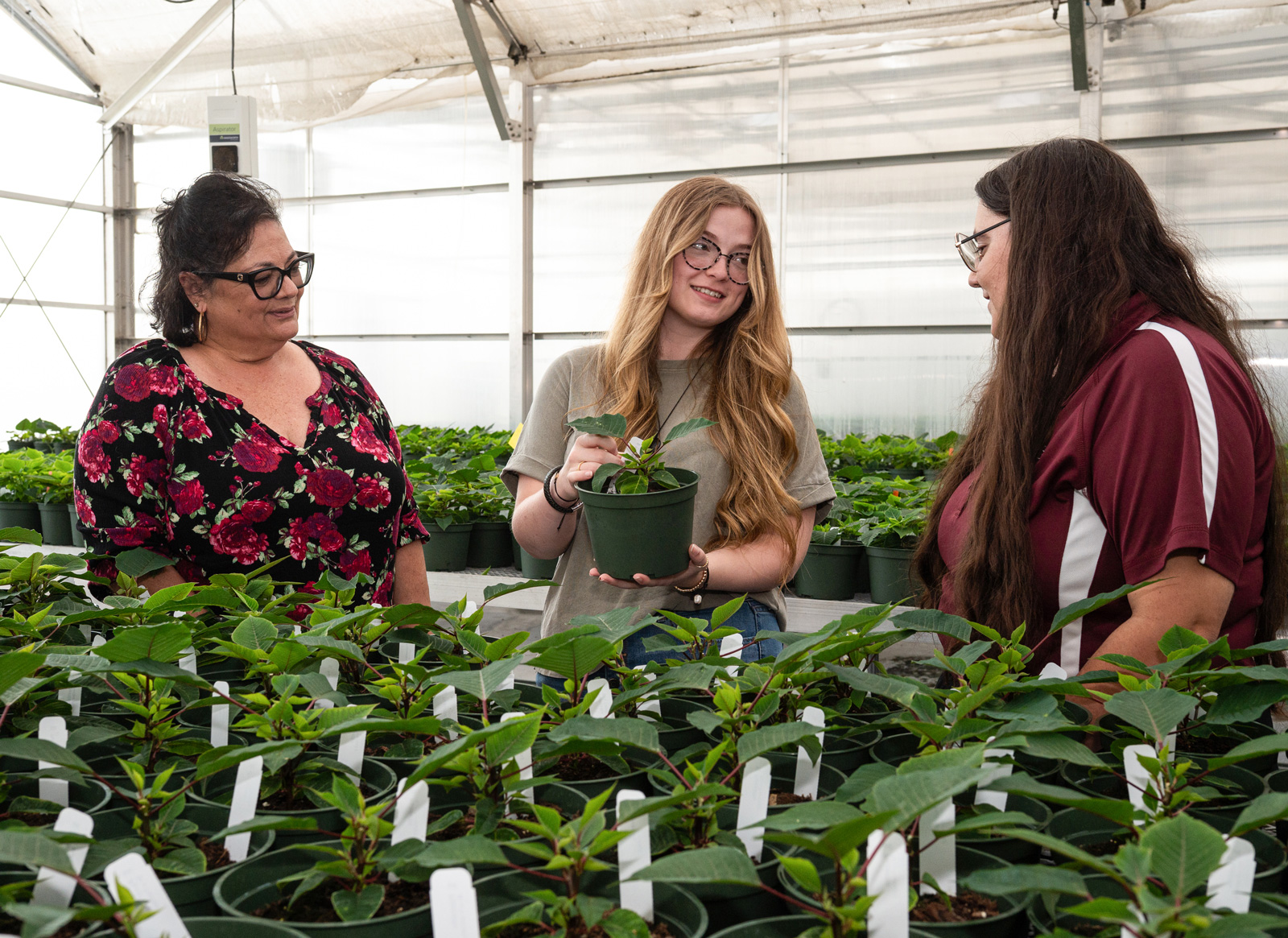 Three people standing in a greenhouse examining a plant the center person holds.