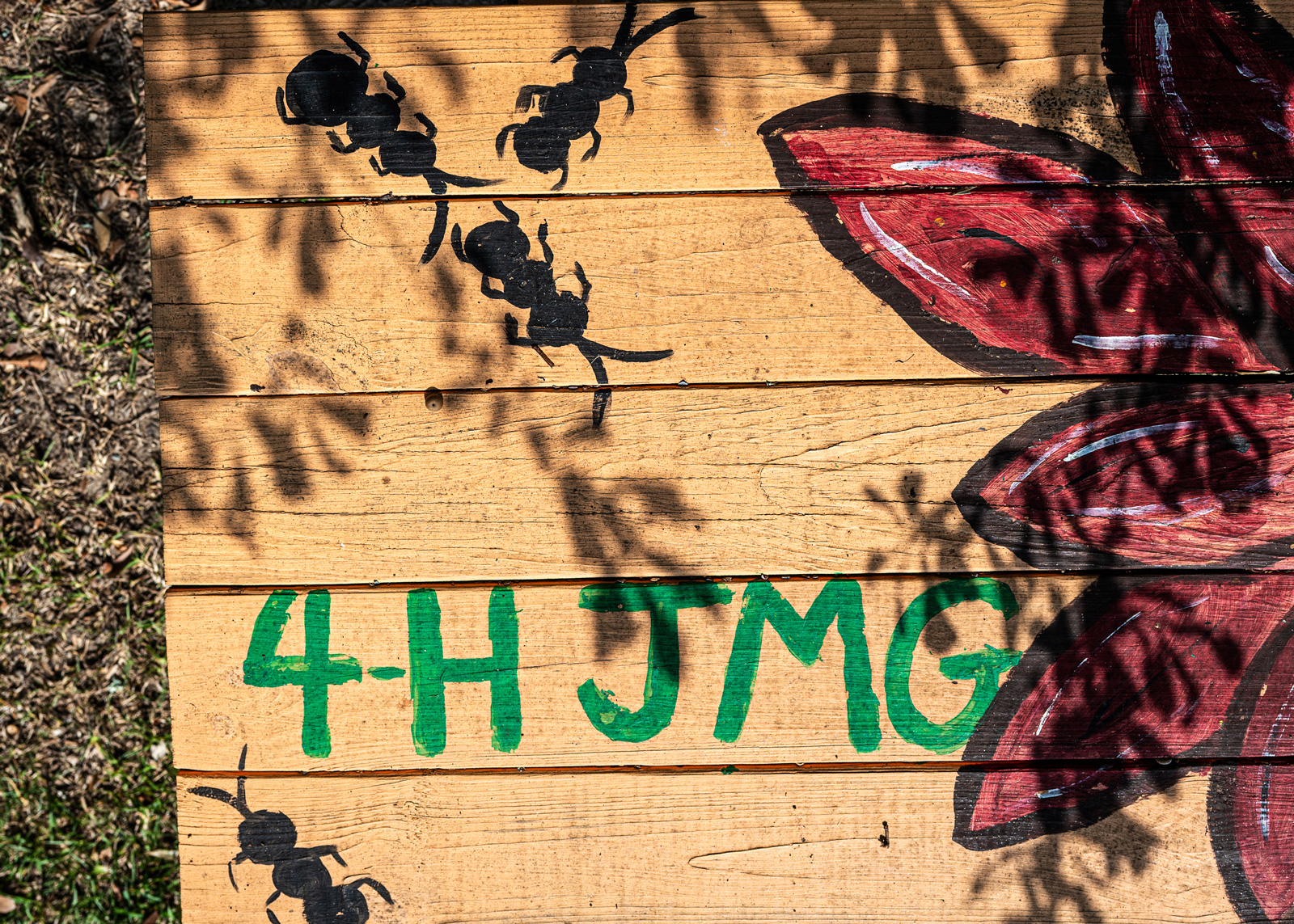 A painted top of a picnic table with “4-H JMG” painted on it, along with black ants and a red flower.
