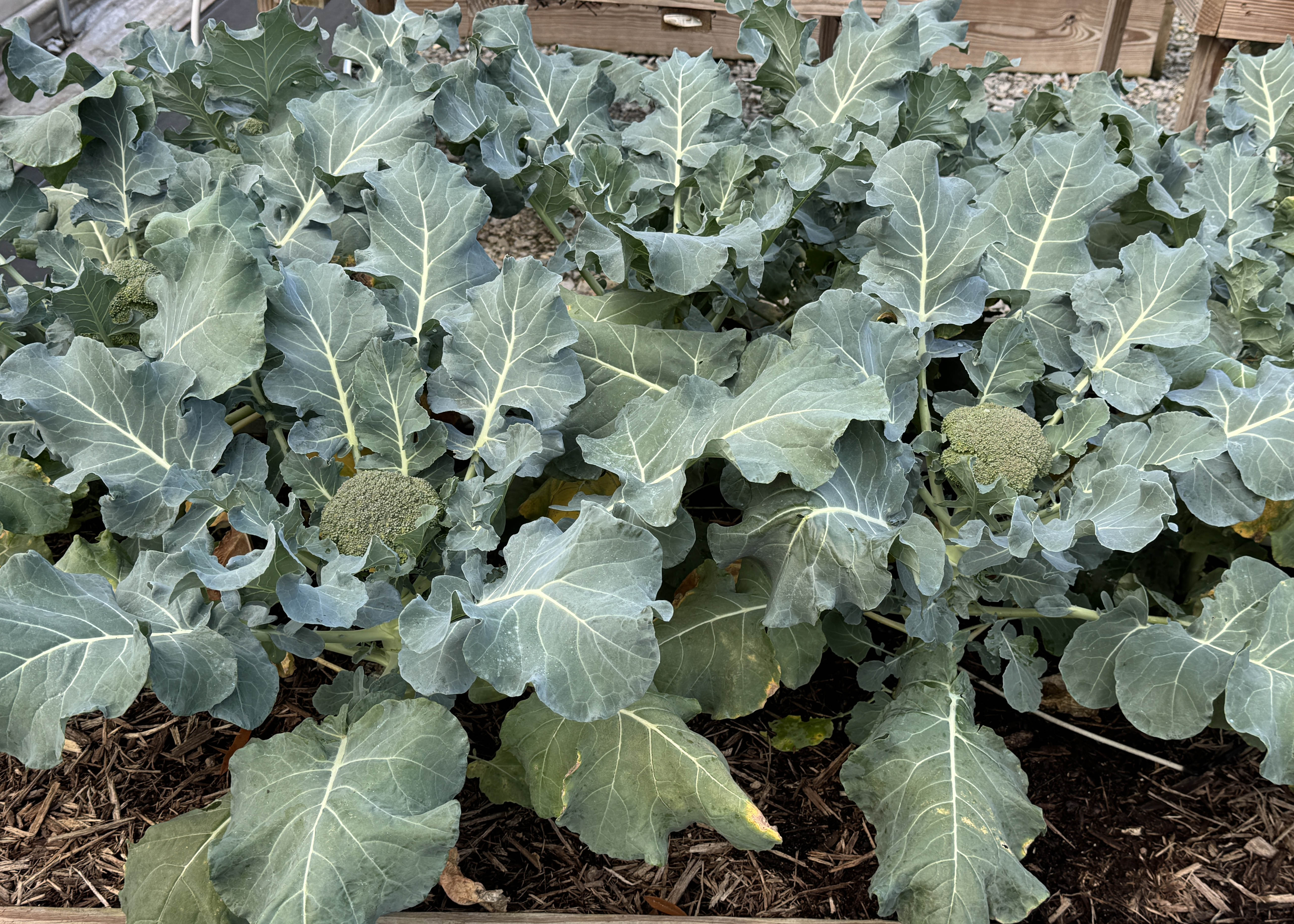 Simple Weddings | Wedding Planners | Cost, Reviews \u0026 Photos | Zola, image size:5224x3732