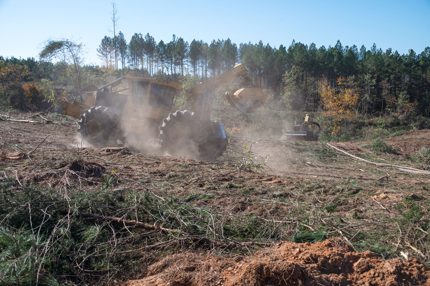 A log skidder in motion, surrounded by dust.