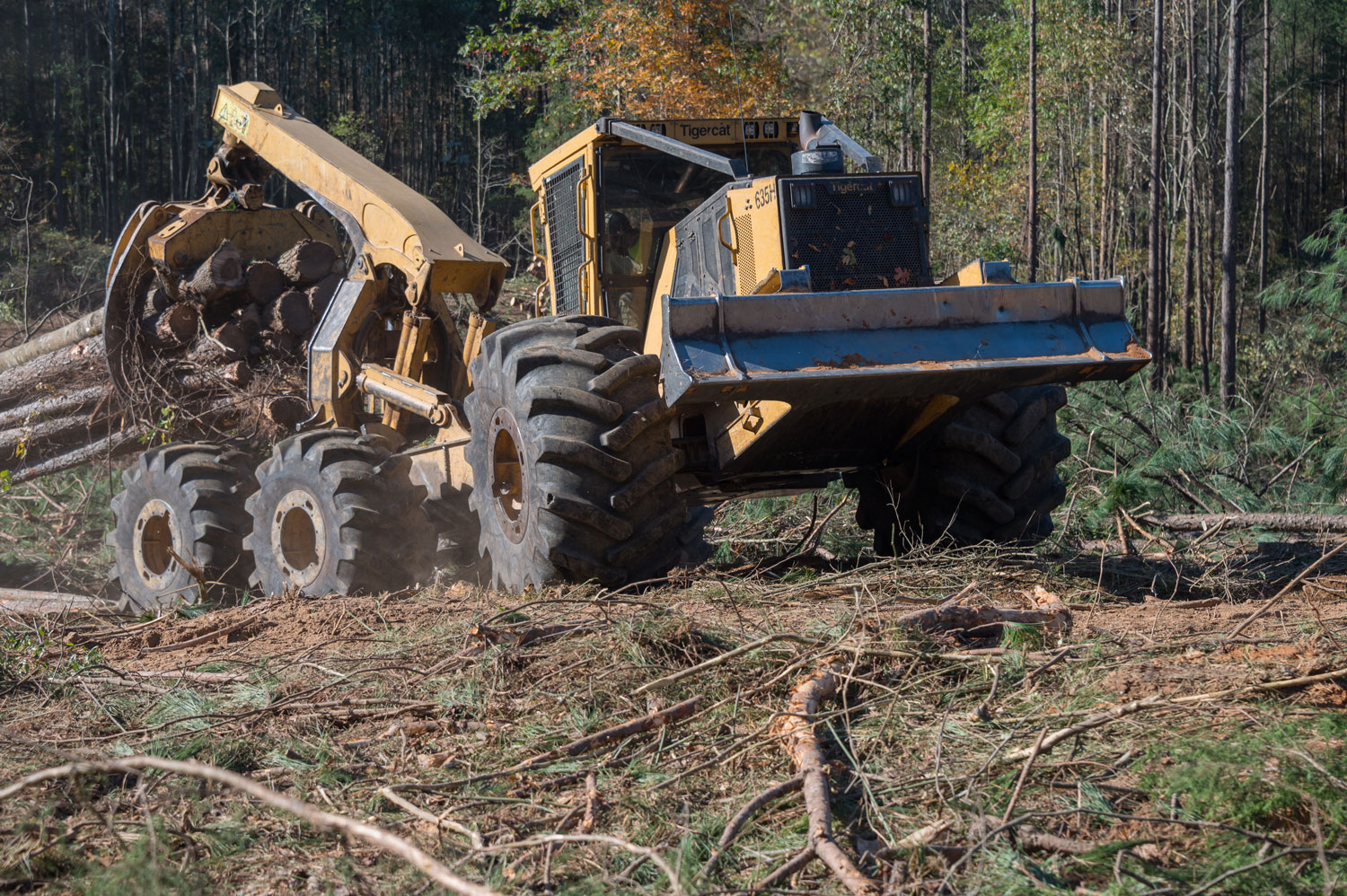 A log loader carrying a bundle of logs.