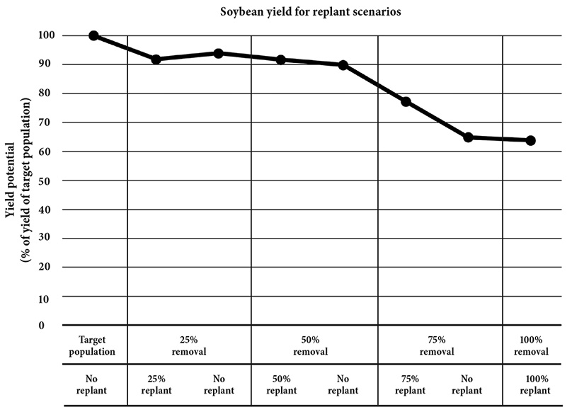 Line graph showing soybean yield for various replant scenarios. Details and trends are in paragraph four of this publication.