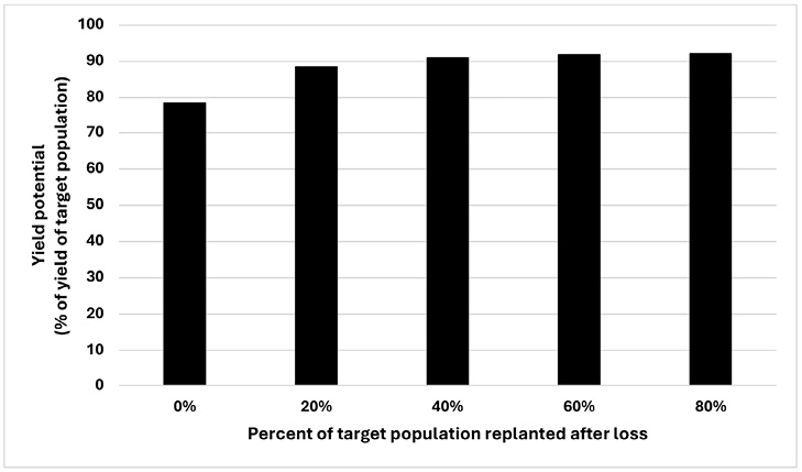 Bar graph showing soybean yield response to various replant seeding rates. Details and trends are in paragraph five of this publication.