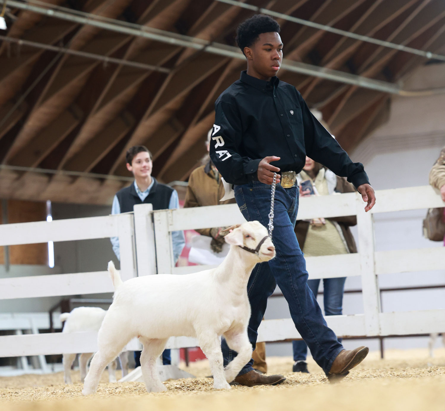 A young person walks a goat in a show ring.