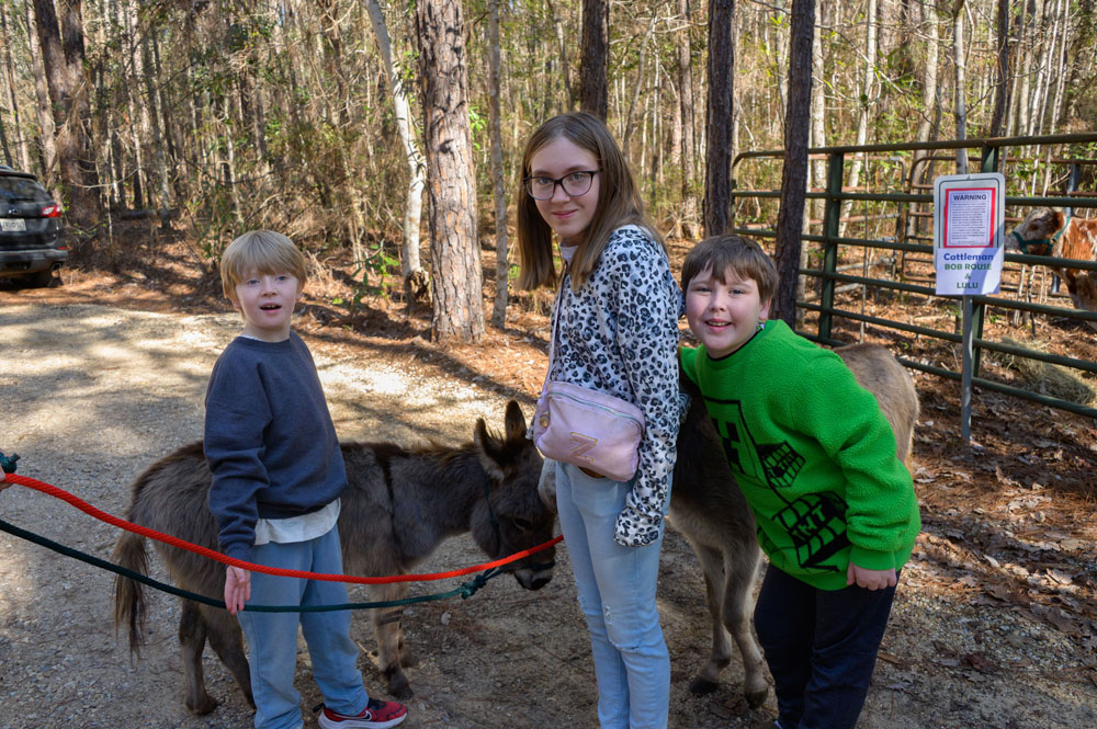 Three smiling children with a miniature donkey.