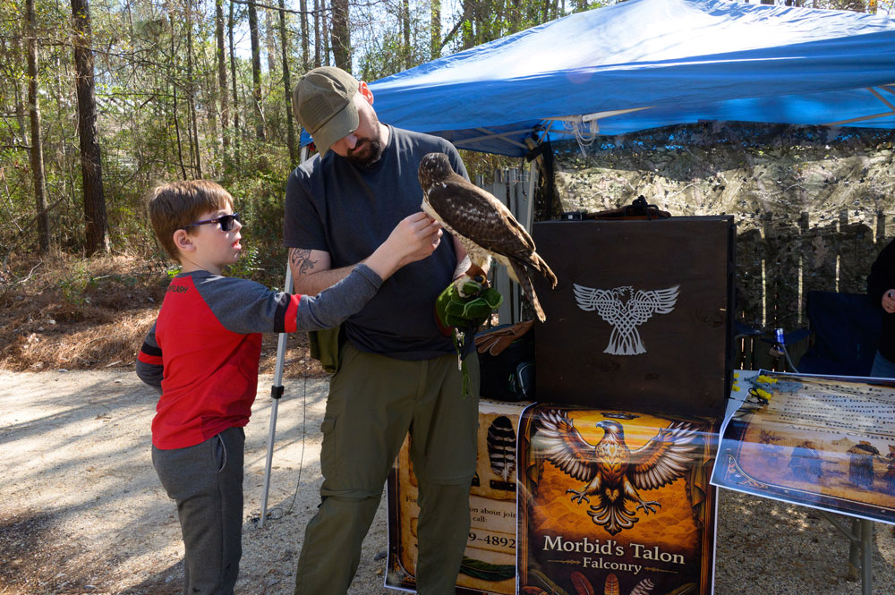 A child reaches toward a red-tailed hawk held by a handler.