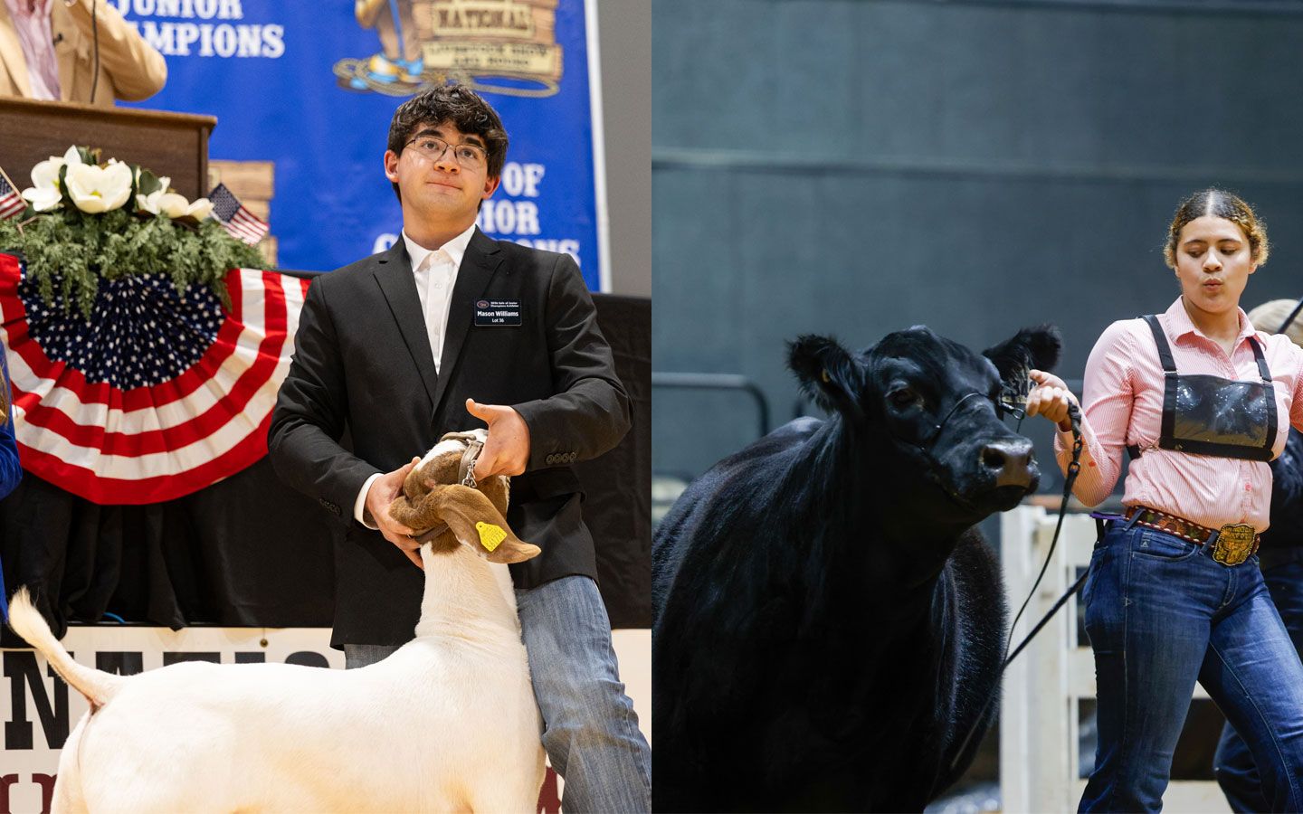 A teen on the left holds his market goat by its head and collar. A teen on the right holds a show stick with one hand and guides her English commercial heifer by leash with the other hand.