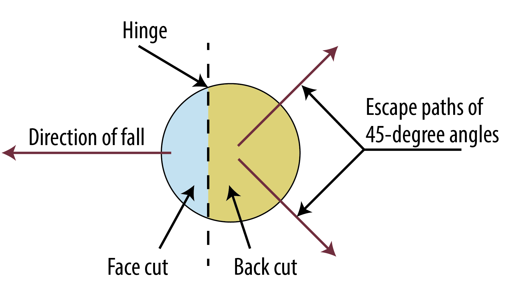 From a bird's-eye view, the diagram shows that two escape paths should be established at 45 degree angles from the hinge and on the opposite side of the tree from the face cut and direction of fall to ensure safety.