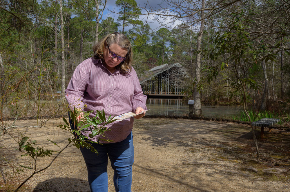 A person uses a checklist to examine a plant.