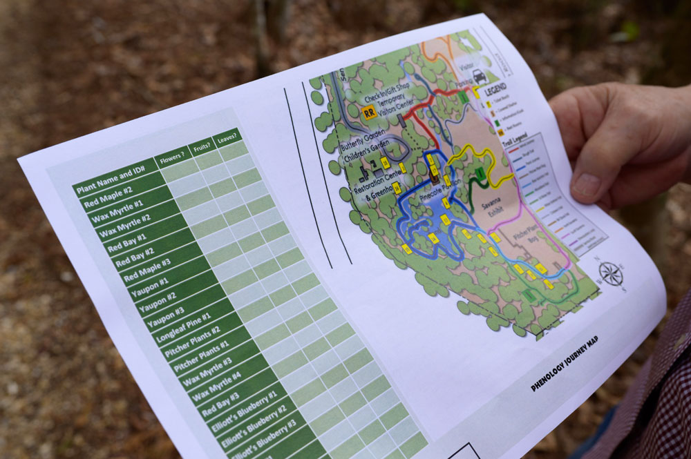 A phenology journey map listing plants and marking locations along the Gulf Coast Phenology 