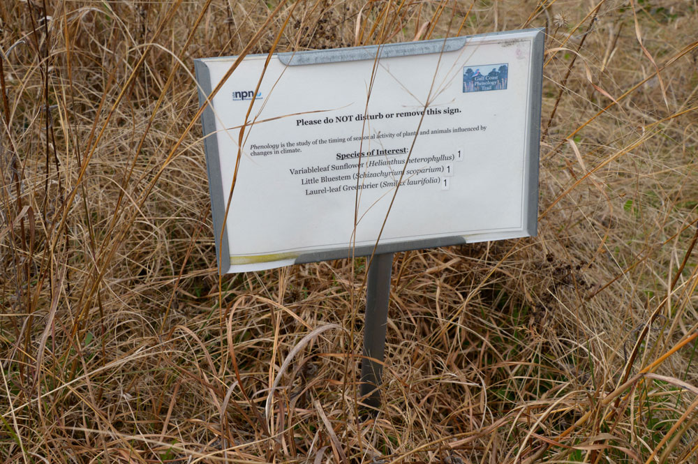 A sign marking an observation site along the Gulf Coast Phenology Trail.