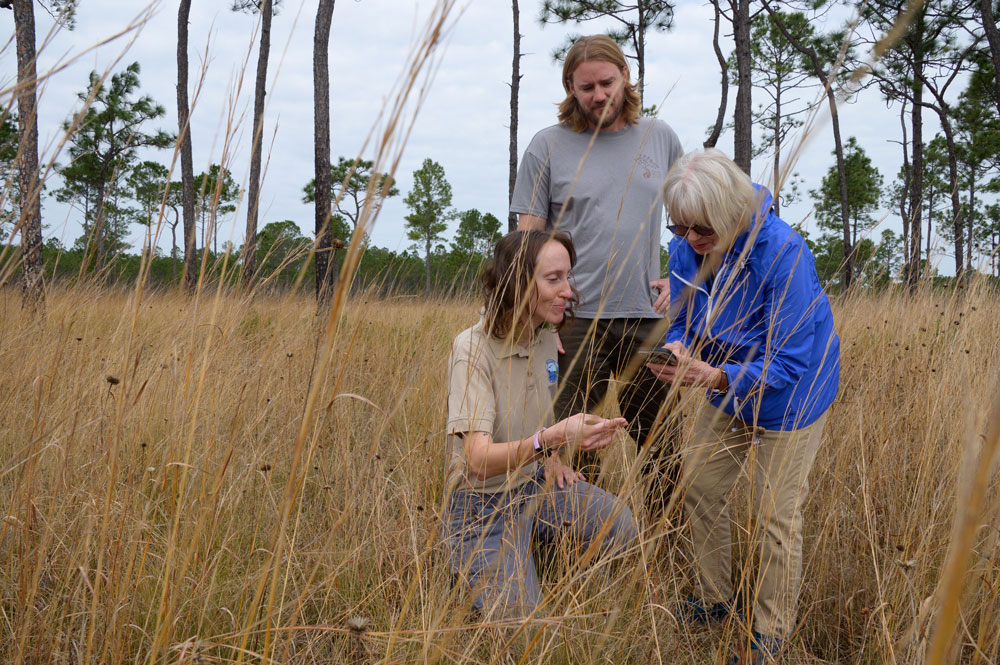 A person holds out a plant specimen while another looks on and a third person types on her phone.