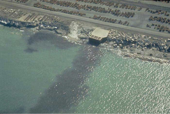 Aerial view of a body of water with darker areas indicating pollution.