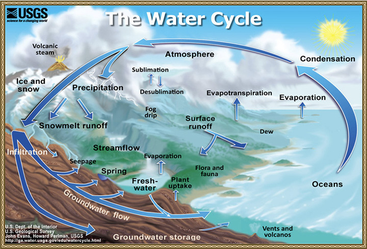 A labeled diagram of the water cycle showing the continuous movement of water through the environment. Full description is in the caption.