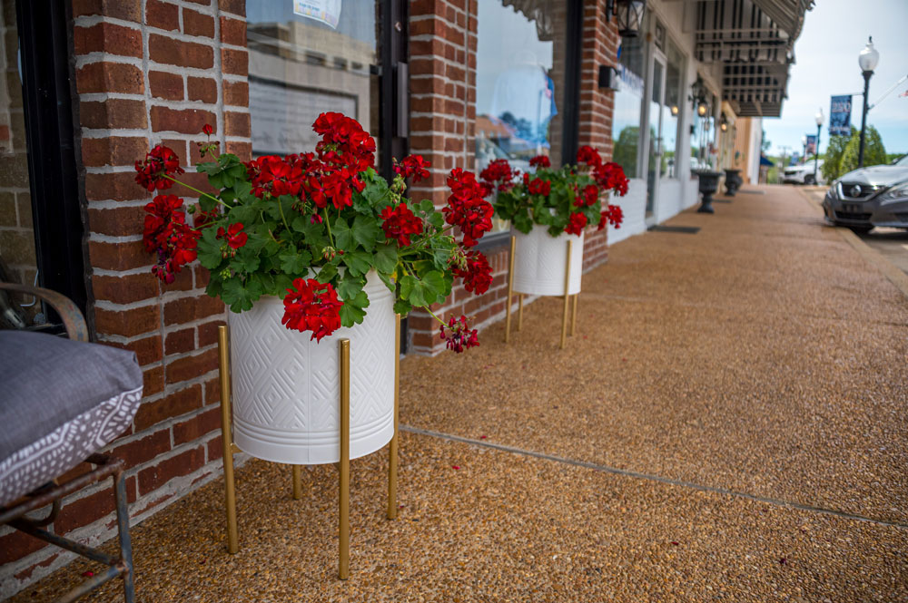Red geraniums flanking a street-facing door.