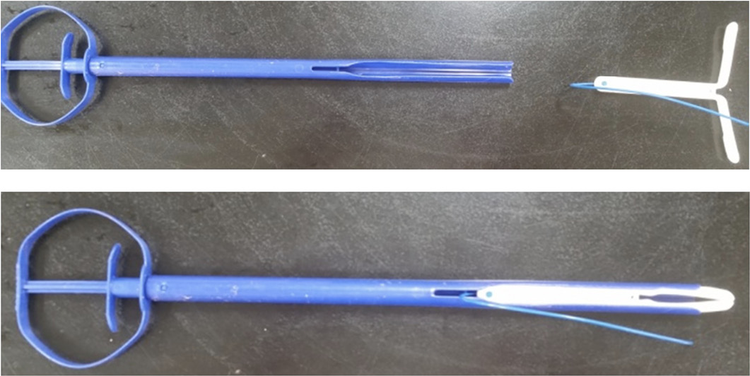 A long, slender applicator and a vaginal insert. 