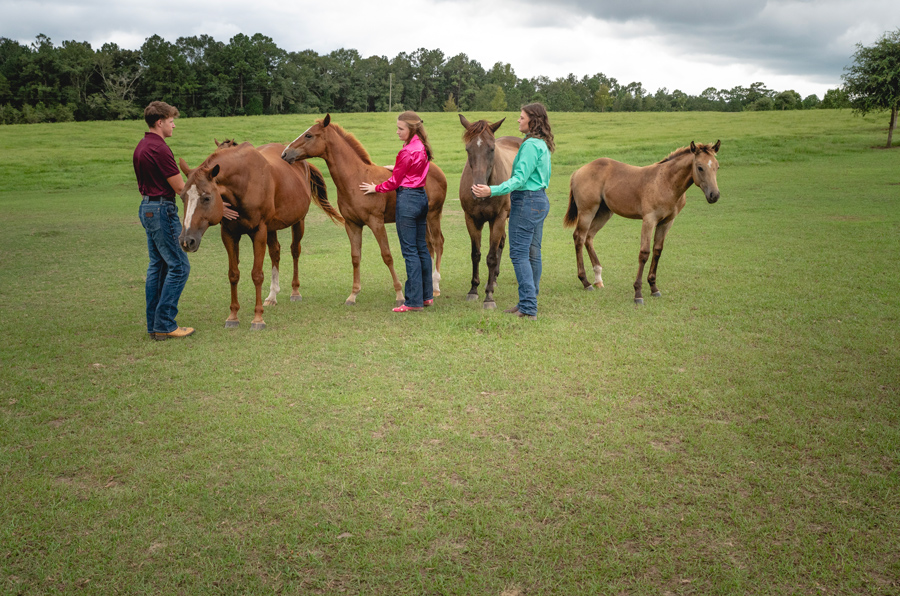 Three adults looking over four horses in a field.