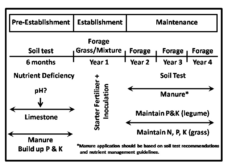 Diagram showing soil fertility management timeline for forage production. Pre-establishment, establishment, and maintenance phases are described in text.