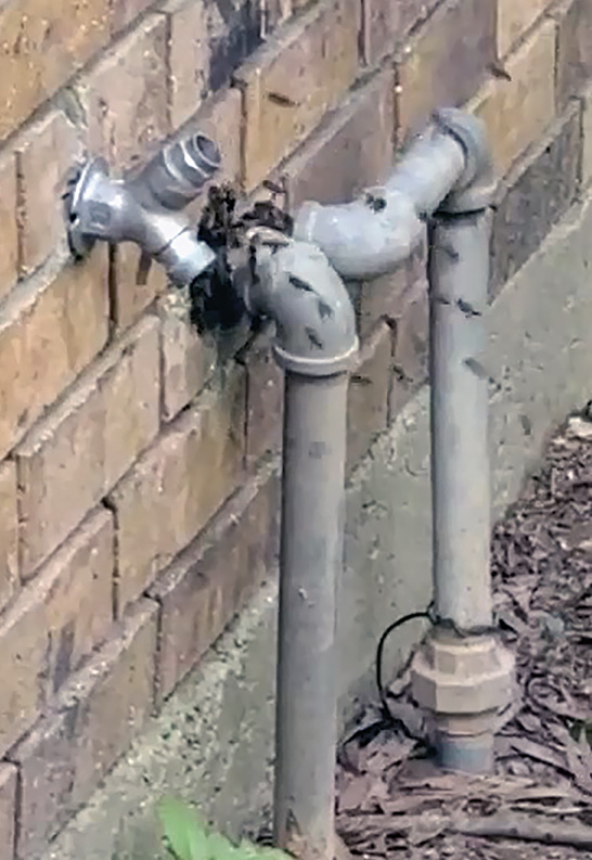 Bees swarming around metal pipes entering the side of a brick house.
