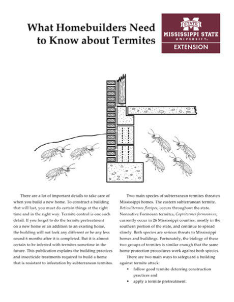 Cover of publication, What Homebuilders Need to Know About Termites.