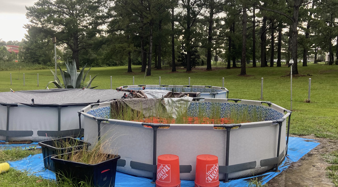 A wide-angle view of three swimming pools, a few buckets, and plants in smaller rectangular containers on tarps outside.