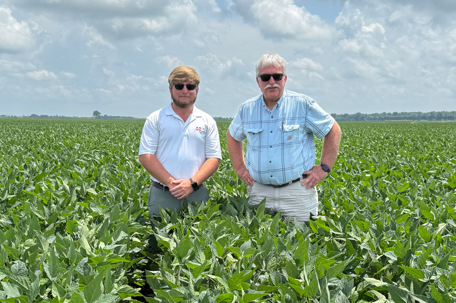 Two people standing in a soybean field.