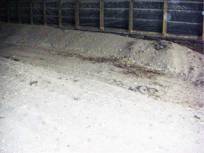 Two rows of litter with a valley between.