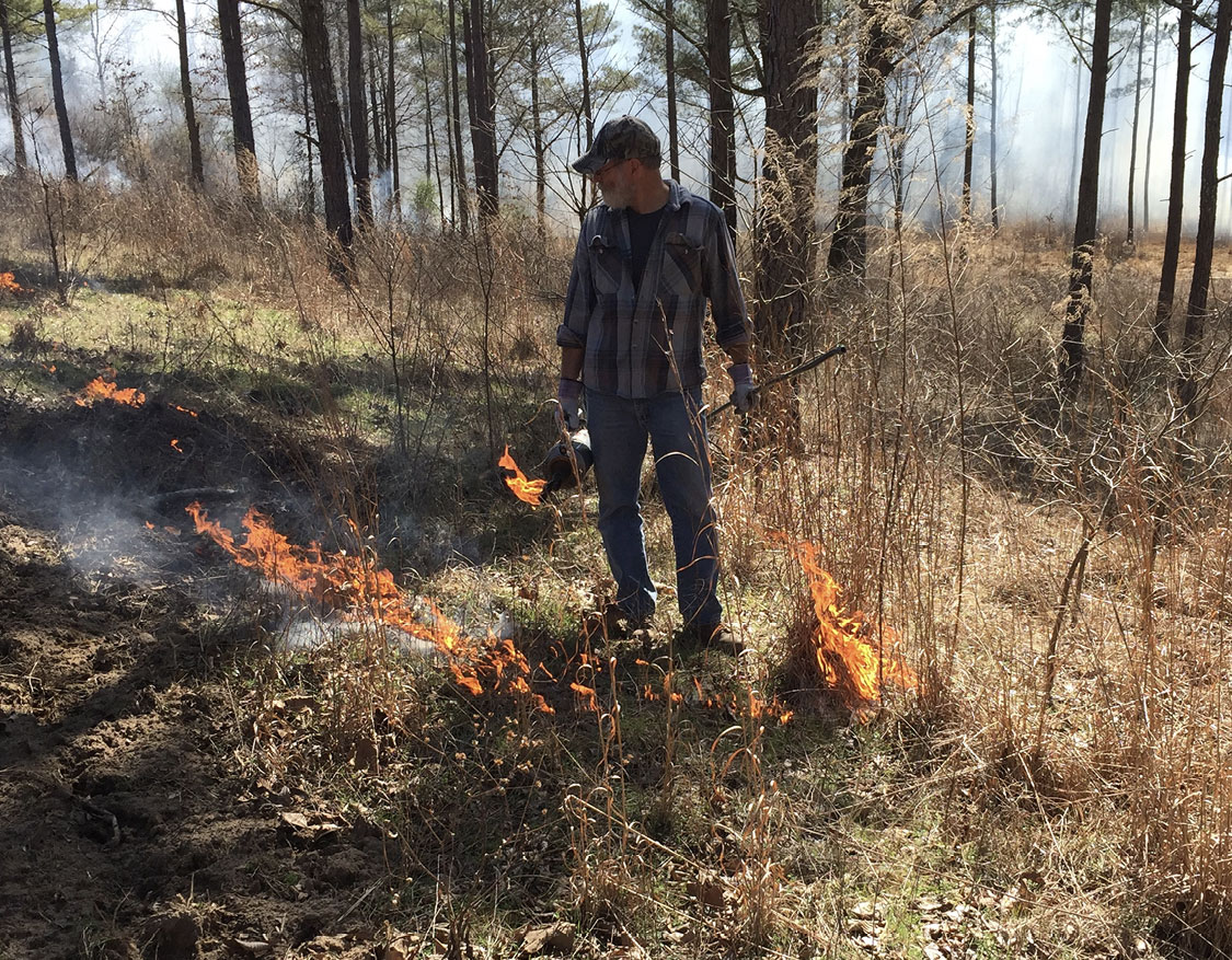 A person stands in a thinly wooded area with controled fires on the ground.