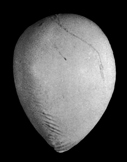 Description in caption.