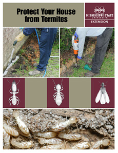 Cover of publication, Protect Your House from Termites.