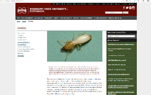 Screenshot of the MSU Extension Termite homepage.