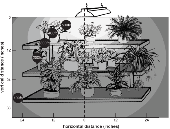 Light output at different distances from the lamps: 100 fc at about 30 inches; 200 fc at about 14 inches; 300 fc at about 10 inches; 400 fc at about 8 inches; 500 fc at about 6 inches.